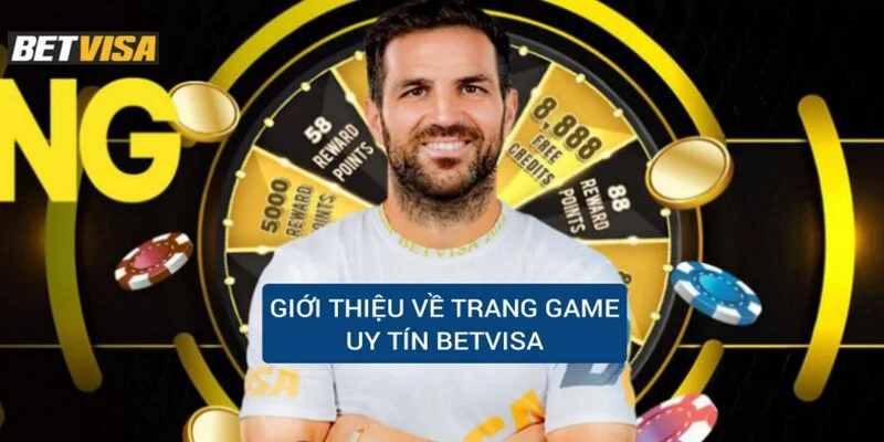 gioi-thieu-ve-trang-game-uy-tin-bet-visa