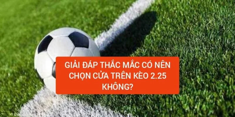 co-nen-chon-cua-tren-cho-keo-cuoc-2-25-hay-khong