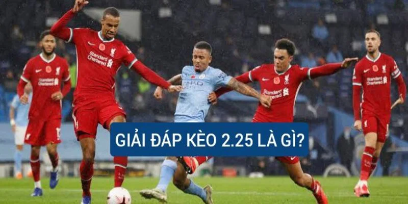 giai-dap-keo-2-25-la-gi