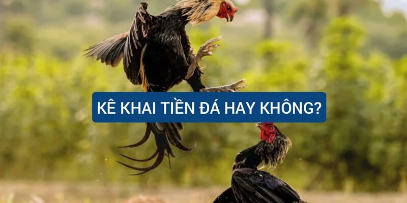 ke-khai-tien-da-hay-khong
