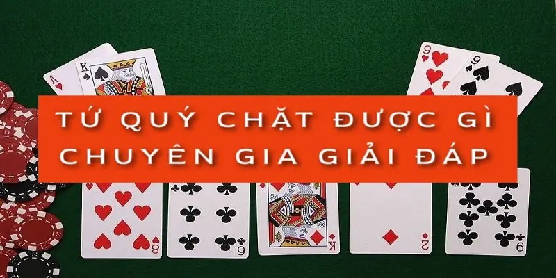 quy-chat-duoc-gi-chuyen-gia-giai-dap