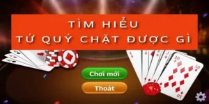 tim-hieu-tu-quy-chat-duoc-gi