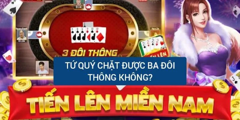 tim-hieu-tu-quy-co-chat-duoc-ba-doi-thong-khong