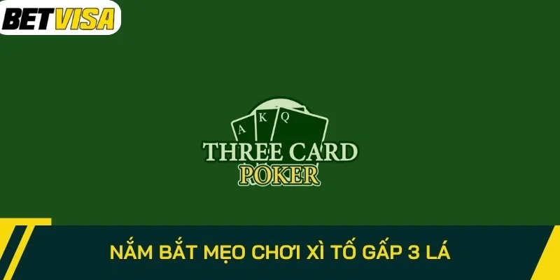 Nắm bắt mẹo chơi xì tố gấp 3 lá