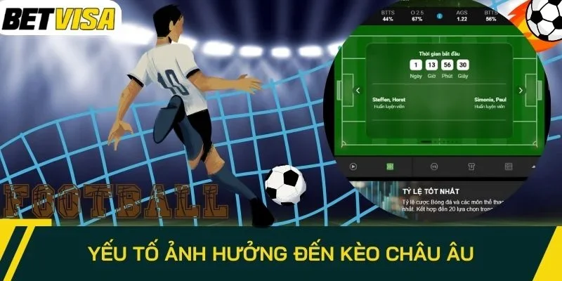 Các yếu tố ảnh hưởng tỷ lệ châu Âu